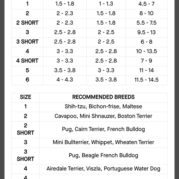 Canada Pooch Black Suspender Dog Boots Size 2 Short - Picture 5 of 6